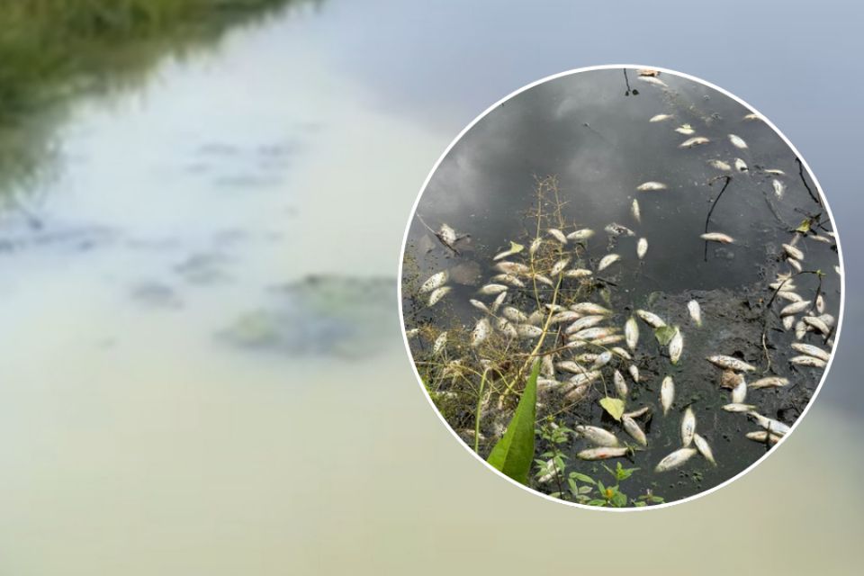 Хмельничан закликають обговорити план порятунку Плоскої та Південного Бугу