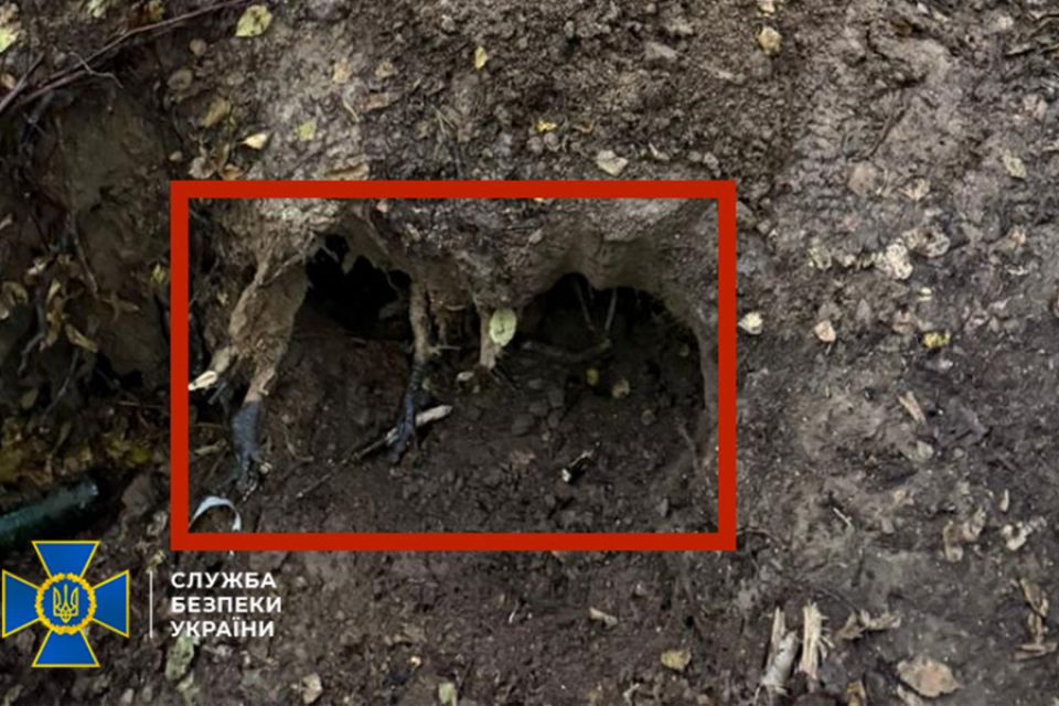 СБУ знайшла пістолет, з якого вбили Парубія: кілера затримували на Хмельниччині