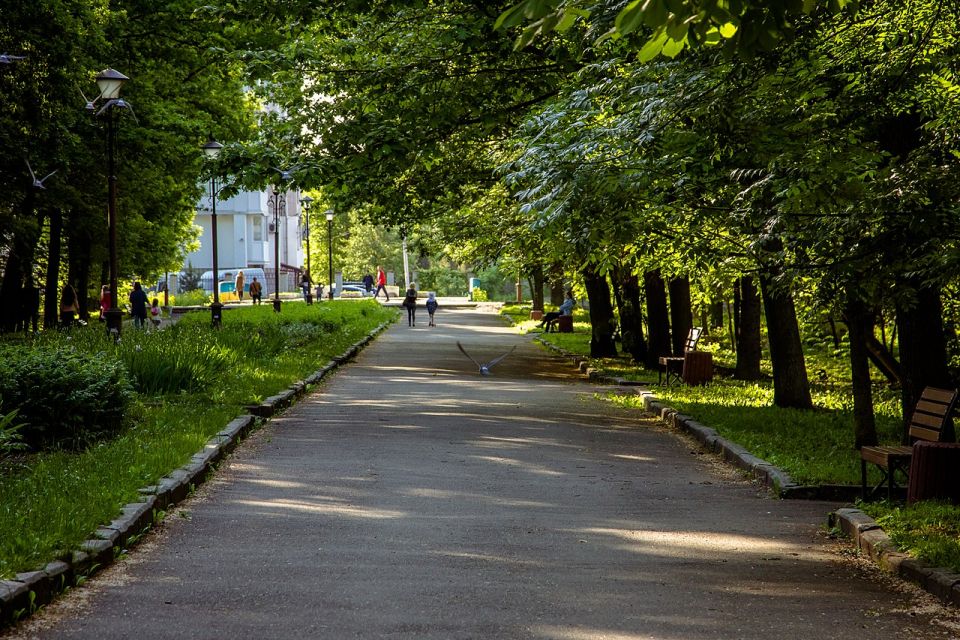 Туалет за 550 тисяч у парку Чекмана. Засудили юристку комунального підприємства