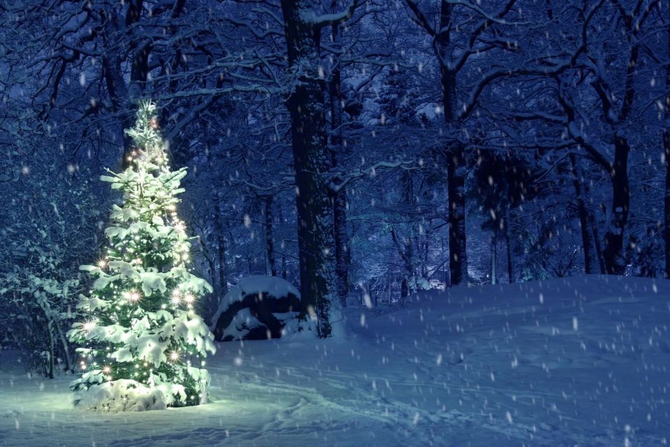 Погода ускладниться: на Хмельниччині очікують ожеледицю та сніг