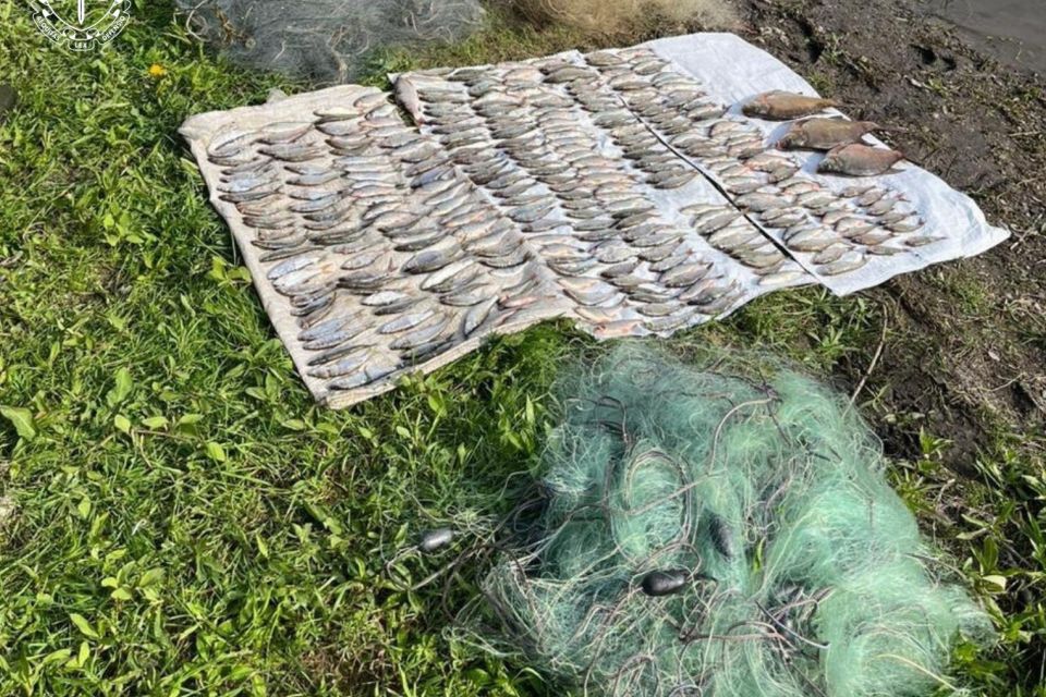 Наловив риби на 1,5 млн грн в нерест: жителю Хмельниччини винесуть вирок