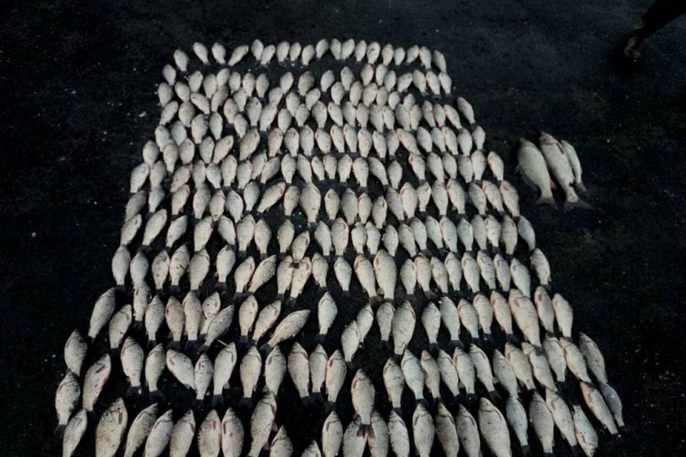 На Хмельниччині порушників правил риболовлі оштрафували на 3 тисячі