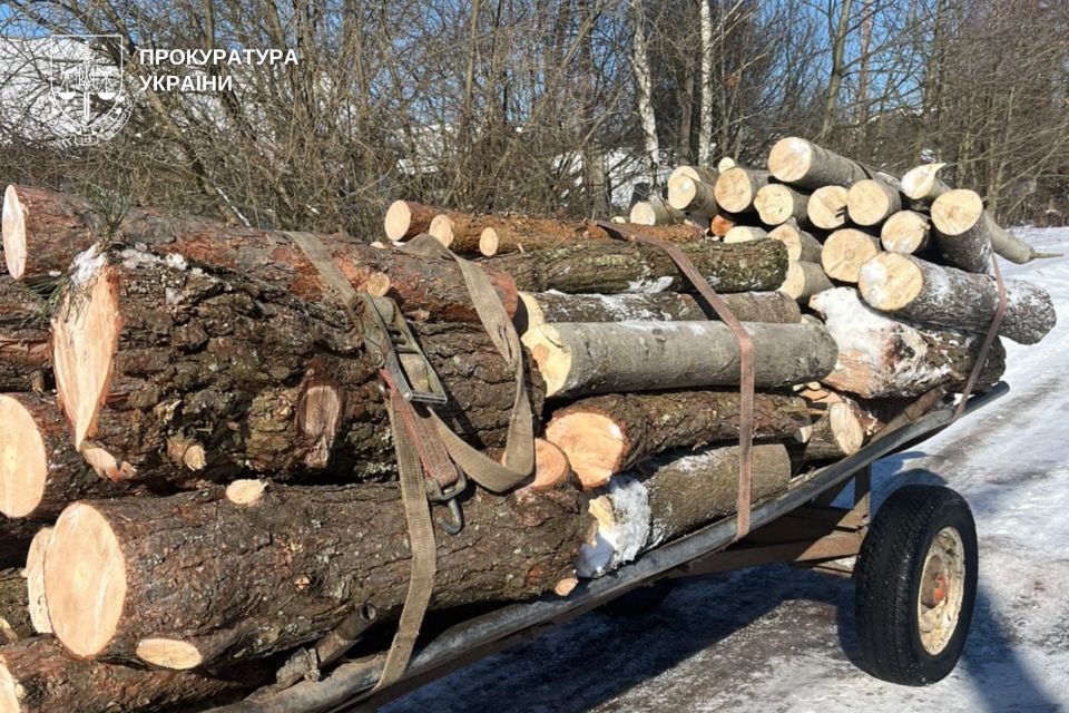 На Хмельниччині працівника «Укрзалізниці» підозрюють у вирубці лісу в заповіднику