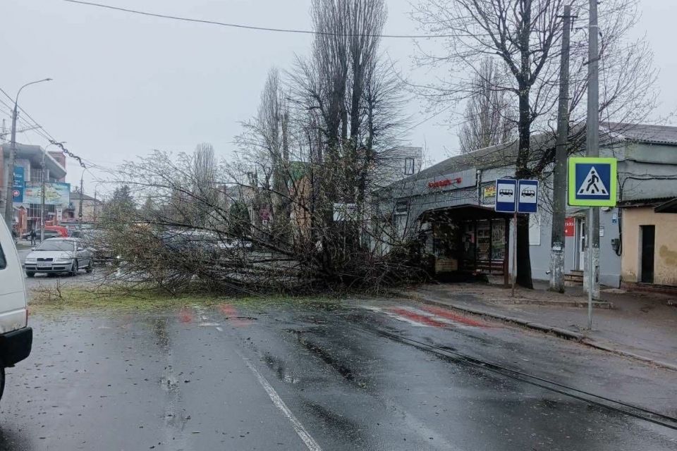 У Хмельницькому змінили маршрут тролейбусів №7 та №11 через падіння дерева