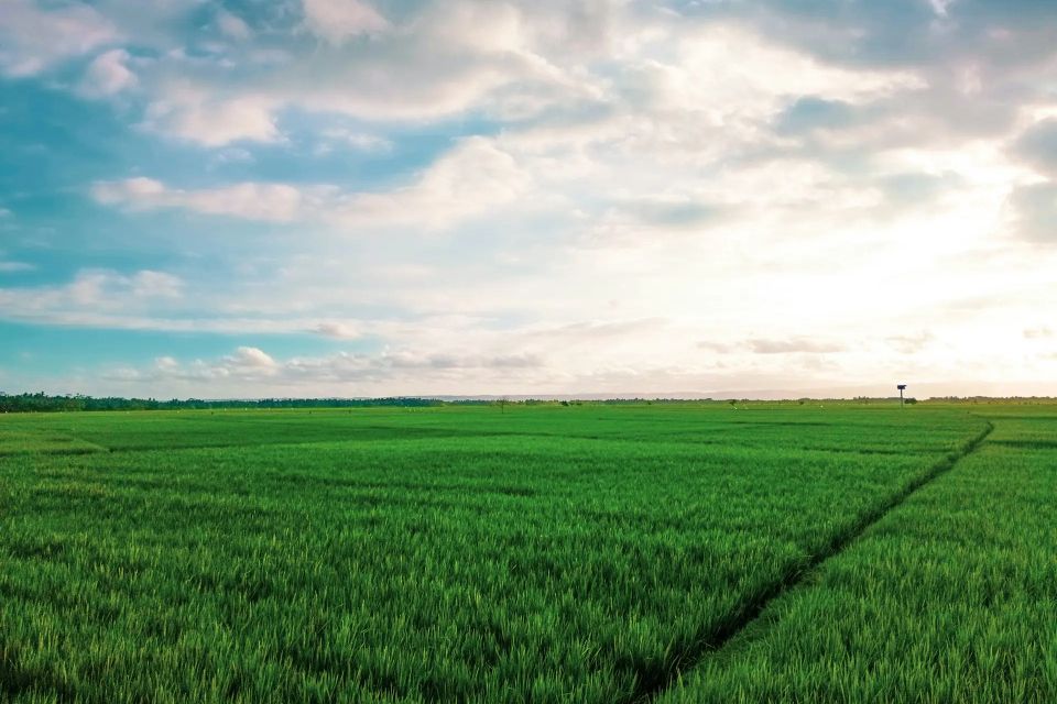 У росіянина на Хмельниччині конфіскували земельну ділянку