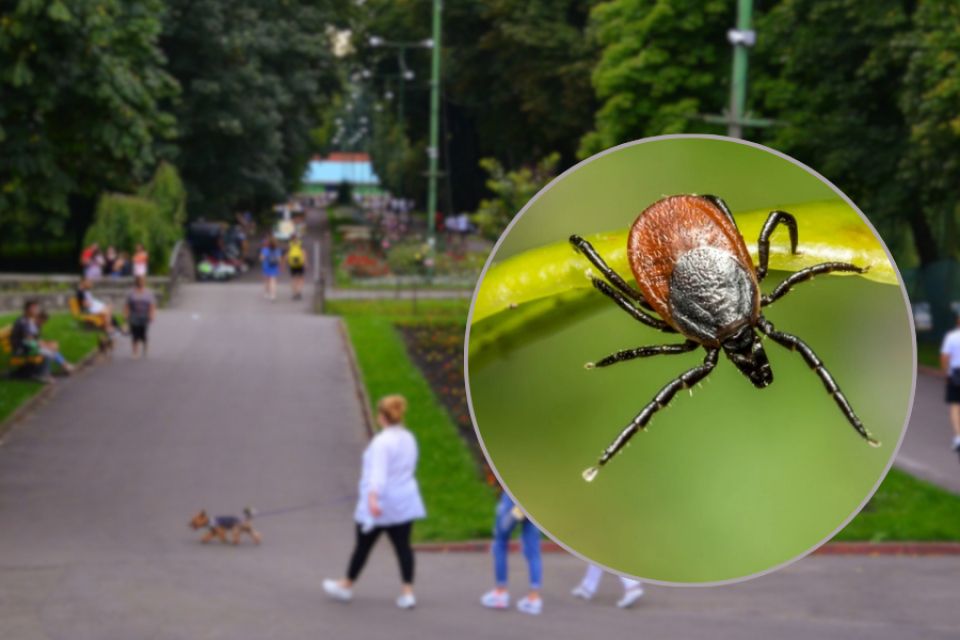 У Хмельницькому оброблятимуть від кліщів парки та озеро. Просять їх не відвідувати
