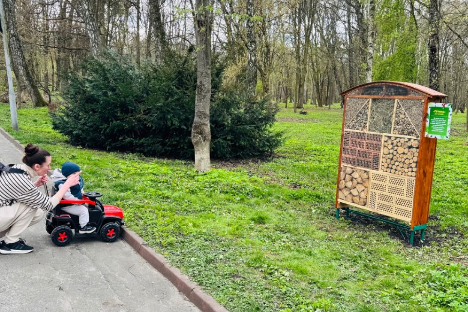 У парку Чекмана з’явився готель для комах