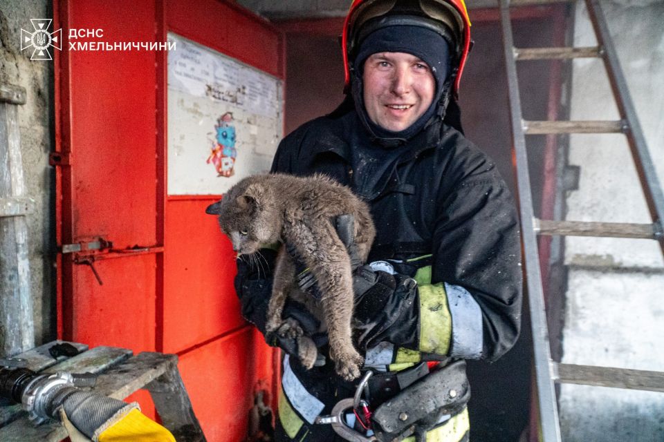 На Хмельниччині під час масштабної пожежі врятували кота