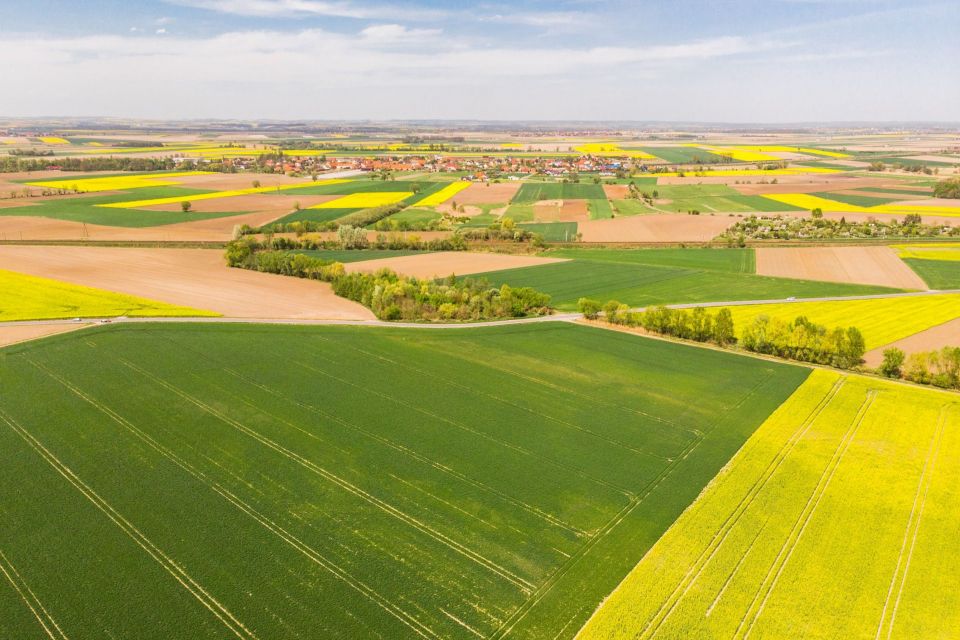 Хмельниччина — серед лідерів за кількістю угод із продажу землі