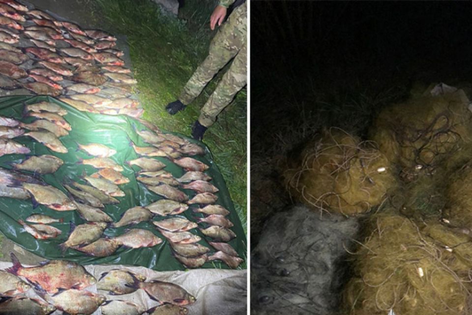 Браконьєра з Хмельниччини засудили до 2,5 років обмеження волі