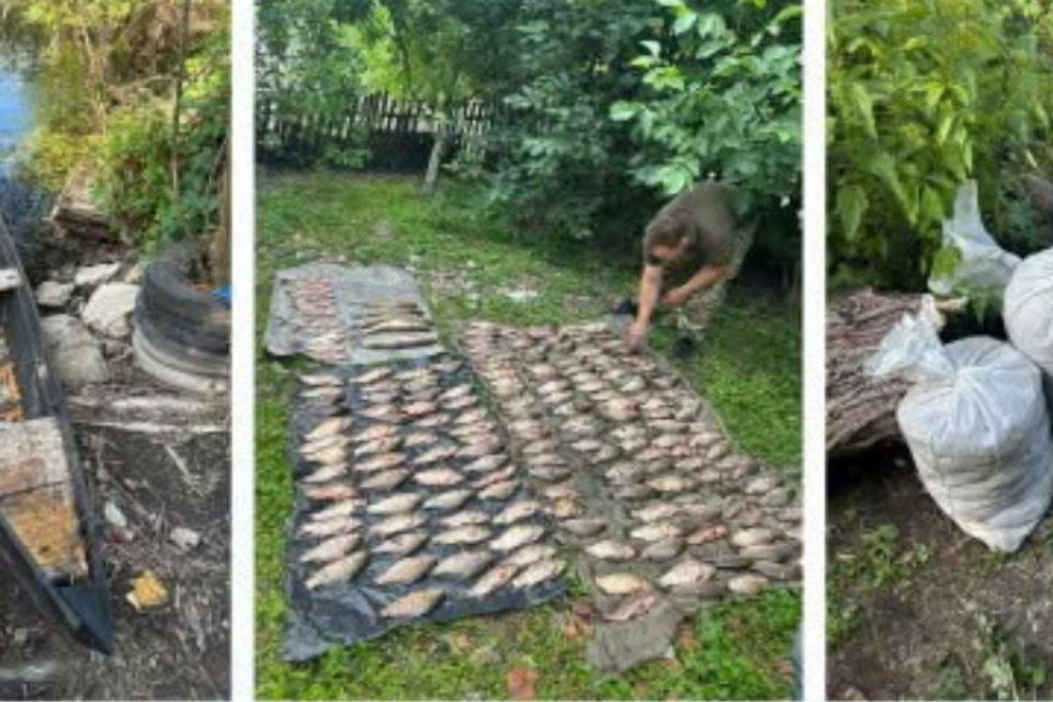 Нарибалив на 306 тисяч гривень: у Летичеві чоловік незаконно виловив 61 кілограм риби