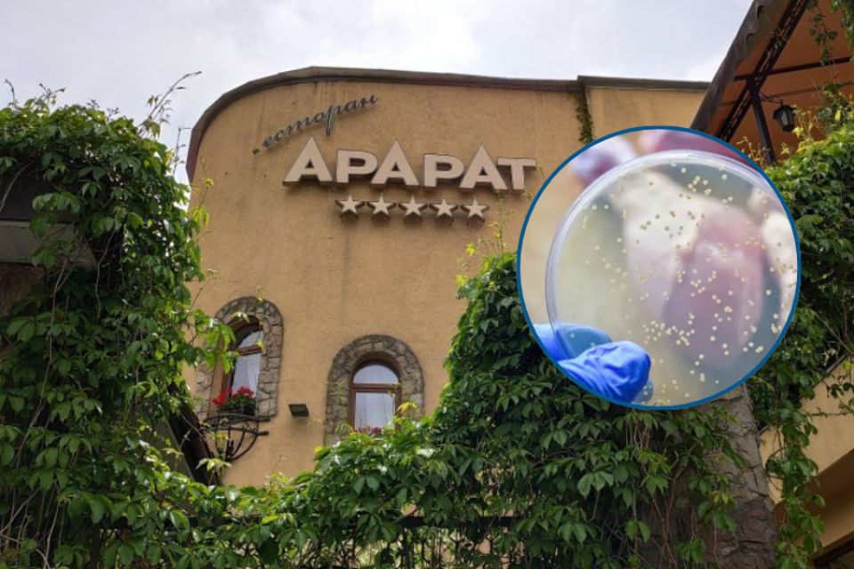 Сальмонельоз після випускного в «Арараті»: що кажуть у ресторані про отруєння 14 людей