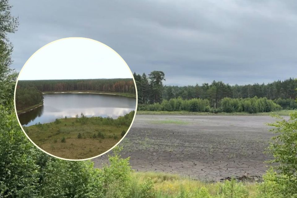 На Хмельниччині повністю висохло Святе озеро, якому понад 10 тисяч років