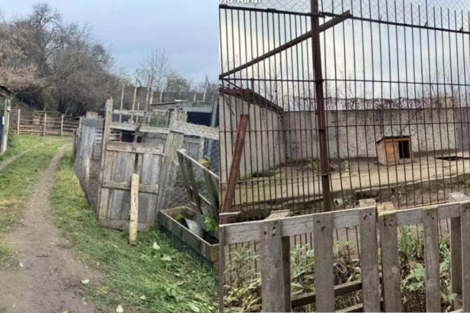 Втеча левиць і термін для Пальохіна. Що трапилось із скандальним зоокуточком