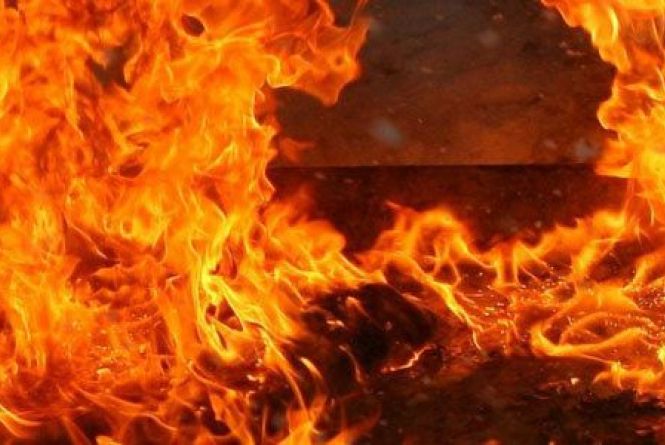 Ð ÐµÐ·ÑÐ»ÑÑÐ°Ñ Ð¿Ð¾ÑÑÐºÑ Ð·Ð¾Ð±ÑÐ°Ð¶ÐµÐ½Ñ Ð·Ð° Ð·Ð°Ð¿Ð¸ÑÐ¾Ð¼ "Ð½ÐµÐ´Ð¾Ð¿Ð°Ð»Ð¾Ðº Ð¿Ð¾Ð¶ÐµÐ¶Ð°"