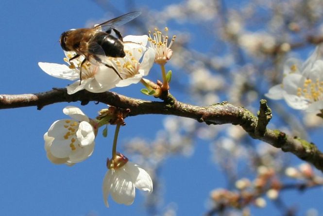 26 квітня - яке сьогодні свято, іменини та чого не слід ...