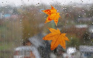 Зливи та шквали: на Хмельниччині оголосили штормове попередження