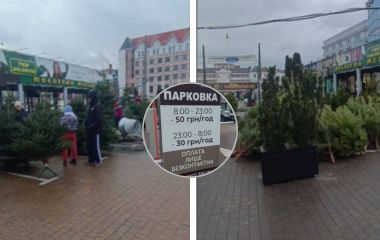 Платну парковку біля «Либідь Плази» перетворили на ялинковий ярмарок