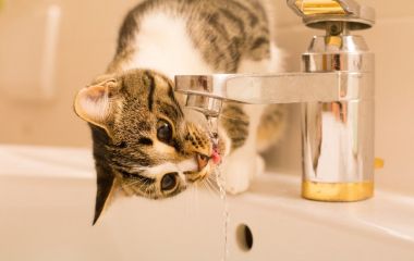 Завтра увесь Хмельницький буде без води