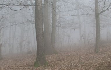 Насувається холодний фронт: погода на 16 листопада для Хмельниччини