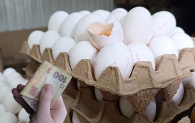 Курячі яйця дорожчають. Порівнюємо ціни у Хмельницькому