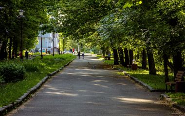 Туалет за 550 тисяч у парку Чекмана. Засудили юристку комунального підприємства