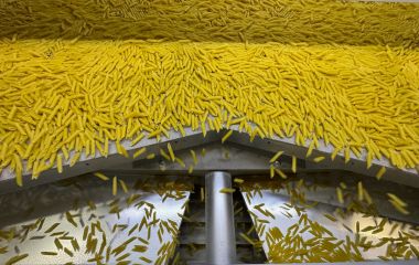 «Тая» вже не та що раніше: що насправді відбувається за стінами Хмельницької макаронної фабрики (новини компаній)