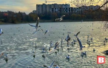 У Хмельницькому очікується похолодання: коли знизиться температура