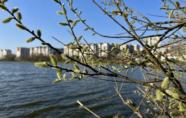 Якою буде погода на Хмельниччині у Вербну неділю 5 квітня