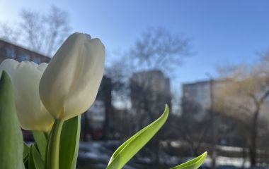 Дощі та заморозки: прогноз погоди у Хмельницькому на тиждень