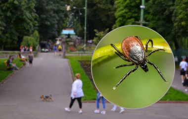 У Хмельницькому оброблятимуть від кліщів парки та озеро. Просять їх не відвідувати