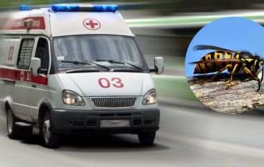 37-річний чоловік помер від укусу комахи на Хмельниччині