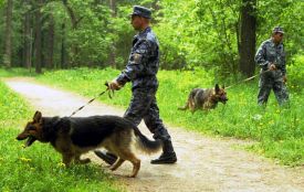 Головний міліціонер Хмельниччини тішить обіцянками, що в’язня-втікача скоро спіймають