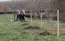 Нове завдання хмельницької поліції – охороняти дерева, які мерія висадила
