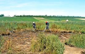 Торф у Хмельницькому вже не горить