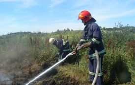 У Хмельницькому декілька годин  горить торф