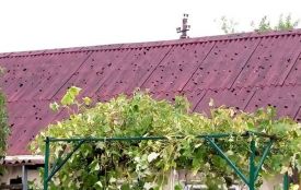Посадовці рахуватимуть, скільки збитків завдав Хмельниччині град