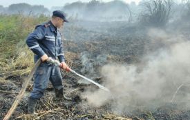 30 рятувальників гасять торф у Волочиському районі
