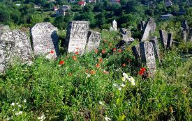 «Незнана Хмельниччина»: чим може здивувати стародавній  Городок