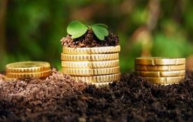 Точка зору: У Верховній раді зареєстрували законопроект щодо продовження мораторію на продаж с\г земель