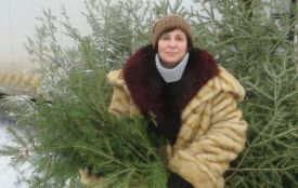 Де купити ялинку у Хмельницькому (КАРТА)