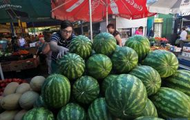 Сезон кавунів та динь на хмельницьких ринках відкрито. А ви вже купували? (ОБГОВОРЕННЯ)