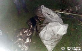 У Теофіпольському районі браконьєри виловили зі ставка майже 30 кілограмів риби