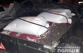 У Теофіпольському районі чоловік посеред ночі вкрав із поля майже 700 кілограмів соняшникового насіння