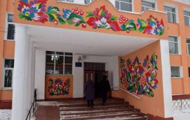 Квіткові будинки та паркани: село на Хмельниччині перетворили у справжній арт-центр