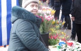 Біля “Либідь Плази” запрацював квітковий ярмарок: що і за скільки продають