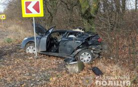 Біля Війтівців Toyota вилетіла з дороги та протаранила дерево: постраждав водій