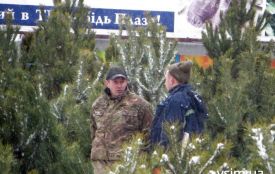 Нелегальний ялинковий базар біля «Плази»: чиновники та поліція знову розводять руками