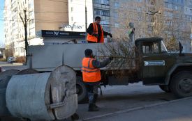 Друге життя новорічних красунь: як в Хмельницькому утилізують ялинки