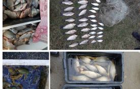 На Хмельниччині браконьєри виловили риби на понад 3 тисячі гривень
